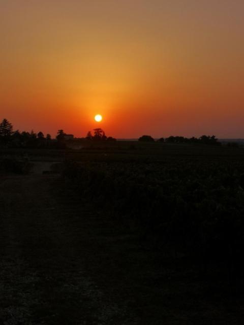 הוילה L Escale Des Vignes Gite Proche Saint Emilion Chateau Beynat מראה חיצוני תמונה